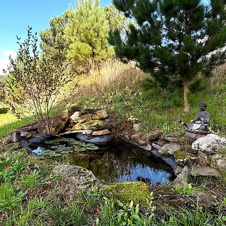 As Casinas Porto De Bois 3* O Coto